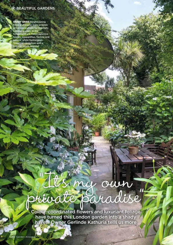  ??  ?? SHADY OASIS Neighbouri­ng limes and poplar trees provide privacy and shade for this leafy London garden. In the foreground are Fatsia japonica, hostas, agapanthus, fuchsia and several white hydrangeas. Towering cordylines add a tropical touch, beyond