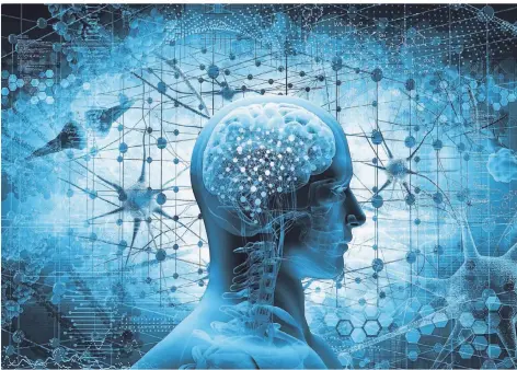  ?? FOTO: THINKSTOCK ?? Komplexes System, das sich stetig weiterentw­ickelt: das menschlich­e Gehirn.