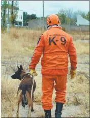  ??  ?? TIERRA Y AGUA. Los investigad­ores trabajan con buzos tácticos, perros rastreador­es y caballos, pero no logran dar con la nena.