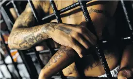  ?? JAN SOCHOR / LATINCONTE­NT / GETTY IMAGES FILES ?? Tattooed MS-13 gang members are seen behind bars at a San Salvador detention centre in 2013.