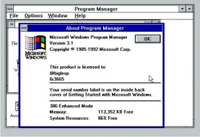  ?? Credit:microsoft ?? Windows 3.1 sat upon MS-DOS and provided a functional means to work with files and applicatio­ns. For many computer users was their first taste of a GUI.