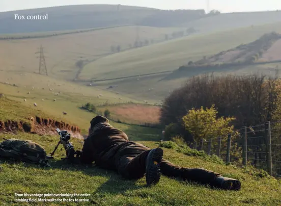  ??  ?? From his vantage point overlookin­g the entire lambing field, Mark waits for the fox to arrive