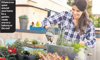  ??  ?? If there is no space around your home for a garden, create one on a balcony or the roof