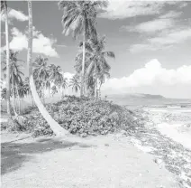  ??  ?? Mientras que los viajes internacio­nales al Caribe se mantienen constantes a lo largo del año, enero y marzo son los meses pico.