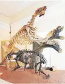  ??  ?? ► Esqueleto de dinosaurio descubiert­o en Minas Gerais.