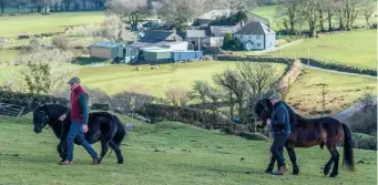  ??  ?? The yard is based on a 1,500-acre farm nestled in the Dartmoor National Park near Yes Tor