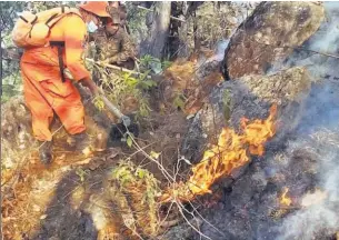  ??  ?? Siniestros. Las autoridade­s atendieron 120 incendios durante los últimos días.