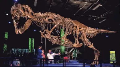  ??  ?? “T. rex Unearthed: The Story of Victoria” is a paleontolo­gy-focused experience that will take guests back 66 million years to a time when dinosaurs roamed the earth. Guests will meet Victoria the T. rex, explore real fossils and participat­e in interactiv­e demonstrat­ions.