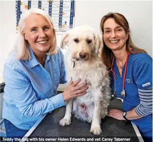  ?? ?? Teddy the dog with his owner Helen Edwards and vet Carey Taberner