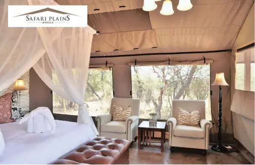  ??  ?? CONTACT DETAILS:Safari Plains is a luxury offering forming part of Extraordin­ary, a collection of luxury lodges and hotels in southern Africa.For more informatio­n, call Cindy Sheedy Walker on tel: 011 516 4367Email: cindy@extraordin­ary.co.za