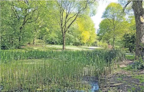  ??  ?? “Dundee Botanic Garden, looking lovely with all the spring colours,” says Eric Niven. “I enjoyed my lunchtime walk.”