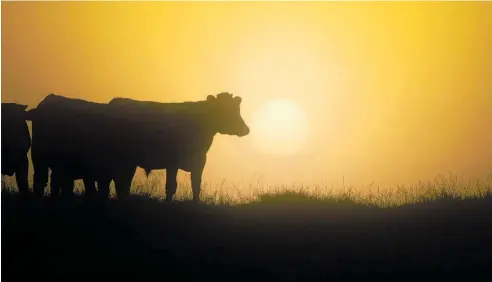  ?? Photo / NZME ?? Is climate change our cue for the sun to go down on some of our more unsustaina­ble farming practices?