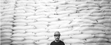  ?? — Reuters photo ?? A worker poses for a photo in front of sacks filled with sugar at Emiliano Zapata sugar mill in Zacatepec de Hidalgo, in Morelos state, Mexico. For the last US-based manufactur­er of the red and white striped candy cane that is a ubiquitous North...