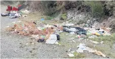  ??  ?? Rubbish alongside a state highway in the Bay of Plenty. PHOTO: Supplied.