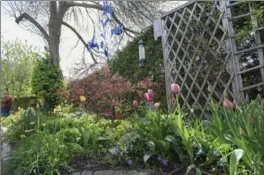  ??  ?? Above left: Joan Wallace dug out a large, naturalize­d pond in her back garden that’s embraced by a rock wall/garden she built. She has planted dozens of trees, shrubs and more perennials there. Bottom left: The backyard patio area.