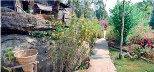  ??  ?? Aesthetica­lly pleasing: Mawlynnong is renown for its cleanlines­s, with bamboo dustbins at every corner.