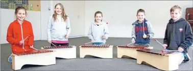  ?? Photo: DANIEL WHITFIELD ?? Kaley Lawrence, left, Jaelen Waller, Kasey Walker, Max Gray and Cameron Duligall test out Pauatahanu­i School’s new xylophones.