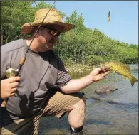  ?? Arkansas Democrat-Gazette/BRYAN HENDRICKS ?? Alan Thomas of Mount Vernon displays one of many smallmouth bass he has caught while wade fishing with the author on the Mulberry River near Redding Recreation Area.