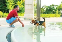  ?? DAVID JAR ?? Un perro se refresca en una fuente de la ciudad de Madrid