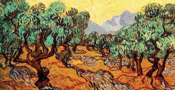  ??  ?? Simboli Gli alberi di Van Gogh, come il fico narrato nel libro di Abate, sono simboli di libertà