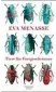  ??  ?? Eva Menasse: Tiere für Fortgeschr­ittene Kiepenheue­r & Witsch, 320 Seiten, 20 Euro