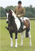  ??  ?? Maxi cob: Colourprin­t (Simon Reynolds) lands a HOYS ticket