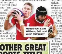 ??  ?? Meticulous: Liam Williams, left, and Leigh Halfpenny