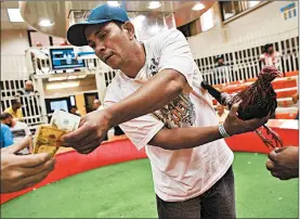  ?? RICARDO ARDUENGO/AP ?? The owner of a losing rooster pays his bet as the judge removes spurs from the beaten bird at a government-sponsored cockfighti­ng club in Bayamon, Puerto Rico.