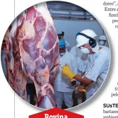  ??  ?? Bovina PREJUÍZO notícias de que os frigorífic­o eram foco da Covid-19 fizeram com que unidades fossem fechadas e a reputação do Brasil, abalada. Para reverter o quadro, uma campanha a favor do setor foi lançada