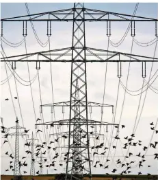  ?? FOTO: FRANK RUMPENHORS­T/DPA ?? Der Ausbau der Stromnetze in Deutschlan­d kommt nicht voran. Erst ein kleiner Teil der benötigten Leitungen ist genehmigt worden.