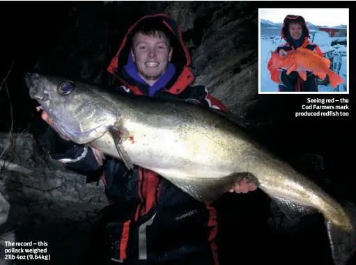  ??  ?? The record – this pollack weighed 21lb 4oz (9.64kg) Seeing red – the Cod Farmers mark produced redfish too