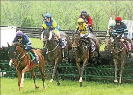  ?? CHRIS BARBER — DIGITAL FIRST MEDIA ?? Ebullience, ridden by Jack Doyle, leads the race over the last jump on the way to victory in the Folly race at Willowdale.