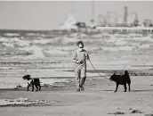  ?? Steve Gonzales / Staff photograph­er ?? A resident walks her dogs after the city of Galveston partially reopened public beaches Monday.