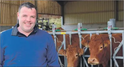  ?? Picture: Iain Ferguson, The Write Image. ?? Chris Cameron tends some of his cattle at Strone Farm.