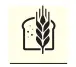  ??  ?? Gluten består av flere hundre ulike proteiner, men først og fremst gliadin og glutenin. Det er gliadinet som fører til flest problemer og skaper intolerans­e. Gluten finnes i hvete, bygg og rug, men også i f.eks. soya. Hvete har spilt en viktig rolle i kostholdet vårt siden vi begynte å dyrke den for flere tusen år siden.