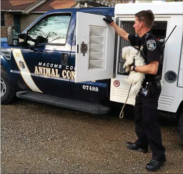  ?? FILE PHOTO ?? Macomb County Animal Control Officer Jeff Randazzo removes a dog from a house in New Baltimore.