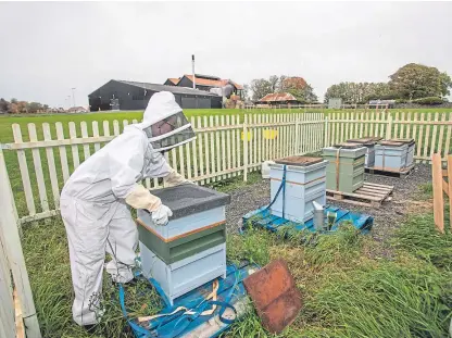  ?? Pictures: Steve MacDougall. ?? Charley Clark, 17, at work at the hives.