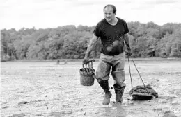  ?? ROBERT F. BUKATY/AP 2020 ?? Mike Soule hauls bags of clams in Freeport, Maine. More New Englanders have dug in the tidal mudflats during the last year, but they’re finding fewer clams.