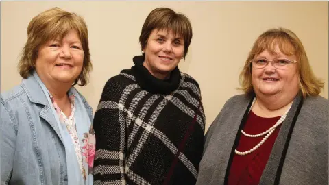  ??  ?? Ellen Condren, Anne Sheridan and Jacinta Kavanagh enjoying a night out at the South Wicklow Drama Festival in St. Brigid’s Hall, Carnew.