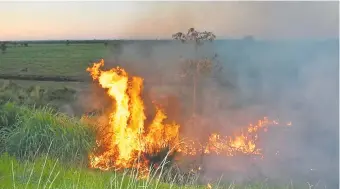  ??  ?? Las llamas avanzan en los costados de la Ecovía de la cuenca del Lago Ypacaraí, arrasando con arbustos y pastizales. Los bomberos voluntario­s hacían todo lo posible para apagarlas.