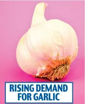  ?? ?? RISING DEMAND FOR GARLIC