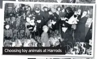  ??  ?? Choosing toy animals at Harrods