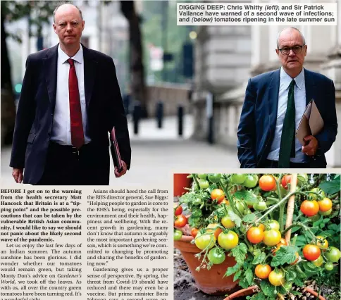  ??  ?? DIGGING DEEP: Chris Whitty and Sir Patrick Vallance have warned of a second wave of infections; and (below) tomatoes ripening in the late summer sun