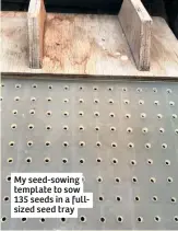  ??  ?? My seed-sowing template to sow 135 seeds in a fullsized seed tray