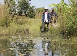  ?? ?? There is need to prevent developmen­t on wetlands if there is any commitment to building sustainabl­e cities in the country