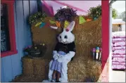  ??  ?? Kaylee Bukovics, 4, of Vacaville, shows the Easter Bunny some love during his visit to Western Ranch & Pet Supply.