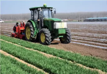  ??  ?? A smart tractor equipped with a Beidou Navigation Satellite System terminal plows a field in Qingdao, Shandong Province in east China, on March 12