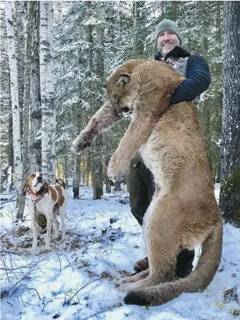  ??  ?? L’animateur de télévision Steve Ecklund pose en compagnie du cougar qu’il a légalement abattu. Cette photo, publiée sur Facebook, est à l’origine d’une lever de boucliers contre la chasse sportive. - La Presse canadienne