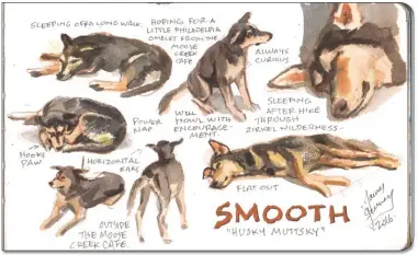  ??  ?? Warm-up sketches, watercolor, fountain pen, and colored pencil, 5x8 in. A good way to get to know a dog’s habits is to do a half dozen sketches in various poses.