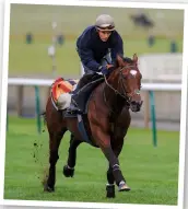  ??  ?? Work rider Shane Fetherston­ehaugh was recruited in 2010 to “teach Frankel to relax”